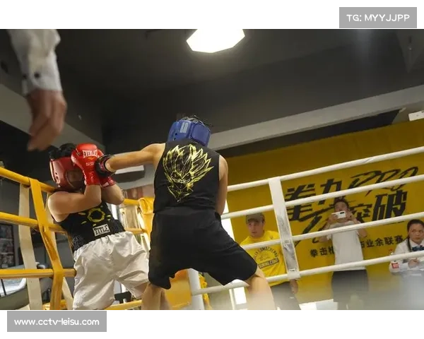 奎兰·萨尔基尔德KO技术教学视频风靡 业余格斗界纷纷学习